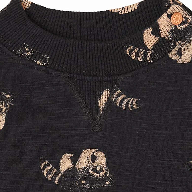 Grijota Raccoon Sweatshirt - Little Kinfolk Boutique | Children's Clothing Regina, SK